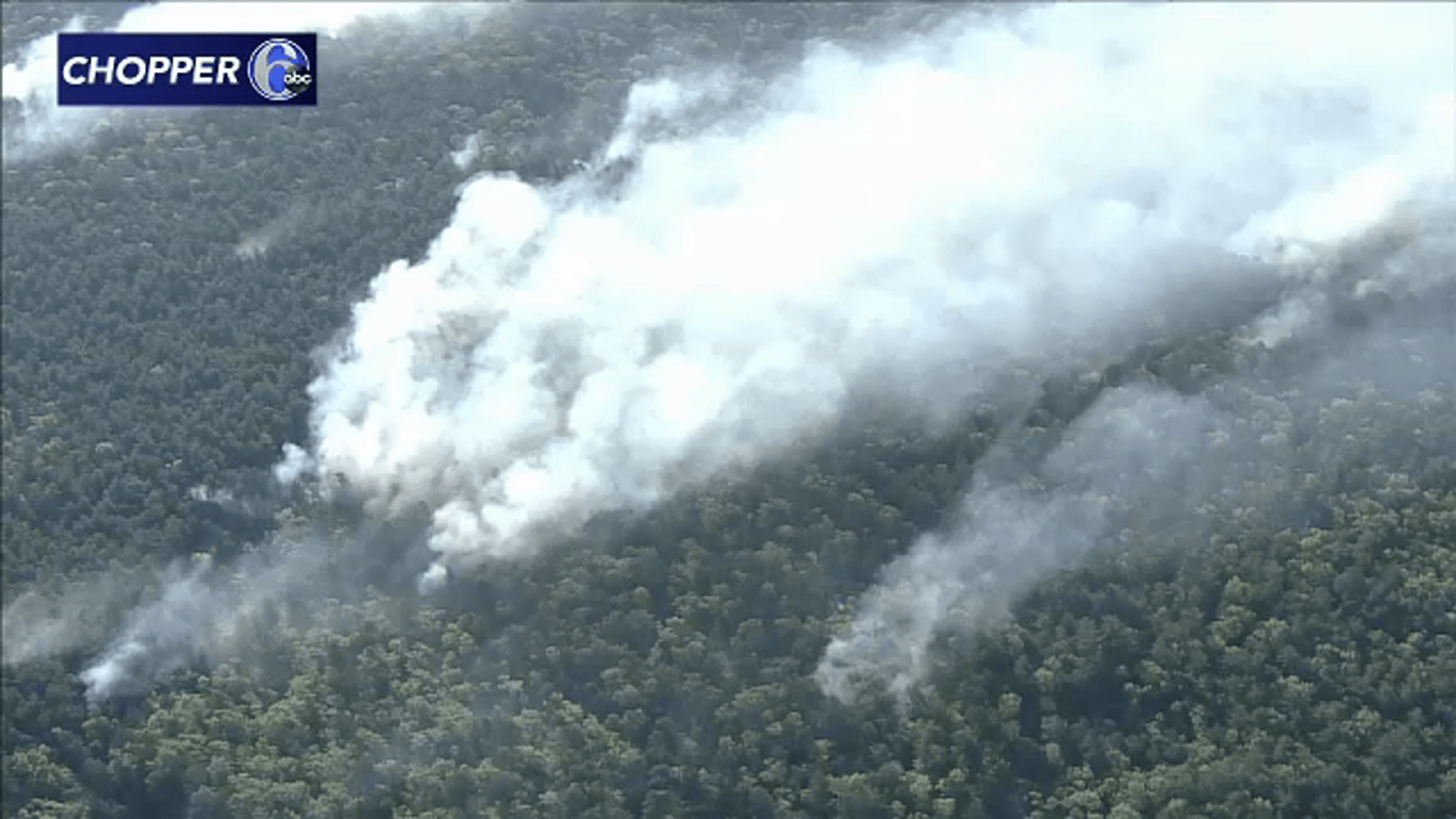 NJ forest fire Crews battling wildfire at Bass River State Forest in