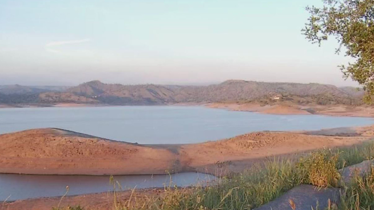 How to see Bald Eagles fly over Millerton Lake in Fresno County ABC30