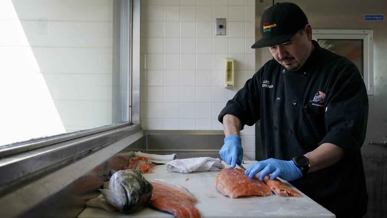 Much of the west coast faces a sea salmon fishing ban due to low stocks