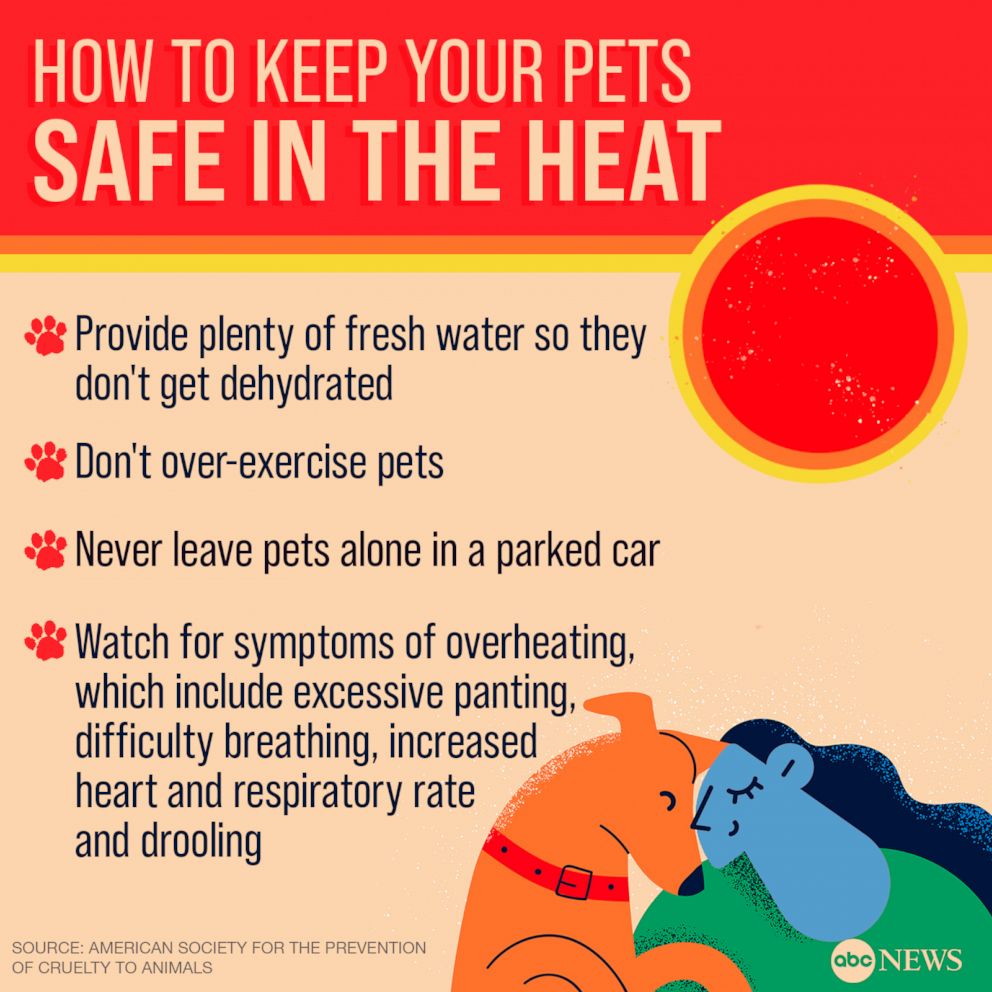 Heat wave 2024 Safety tips and ways to keep cool in the excessive heat