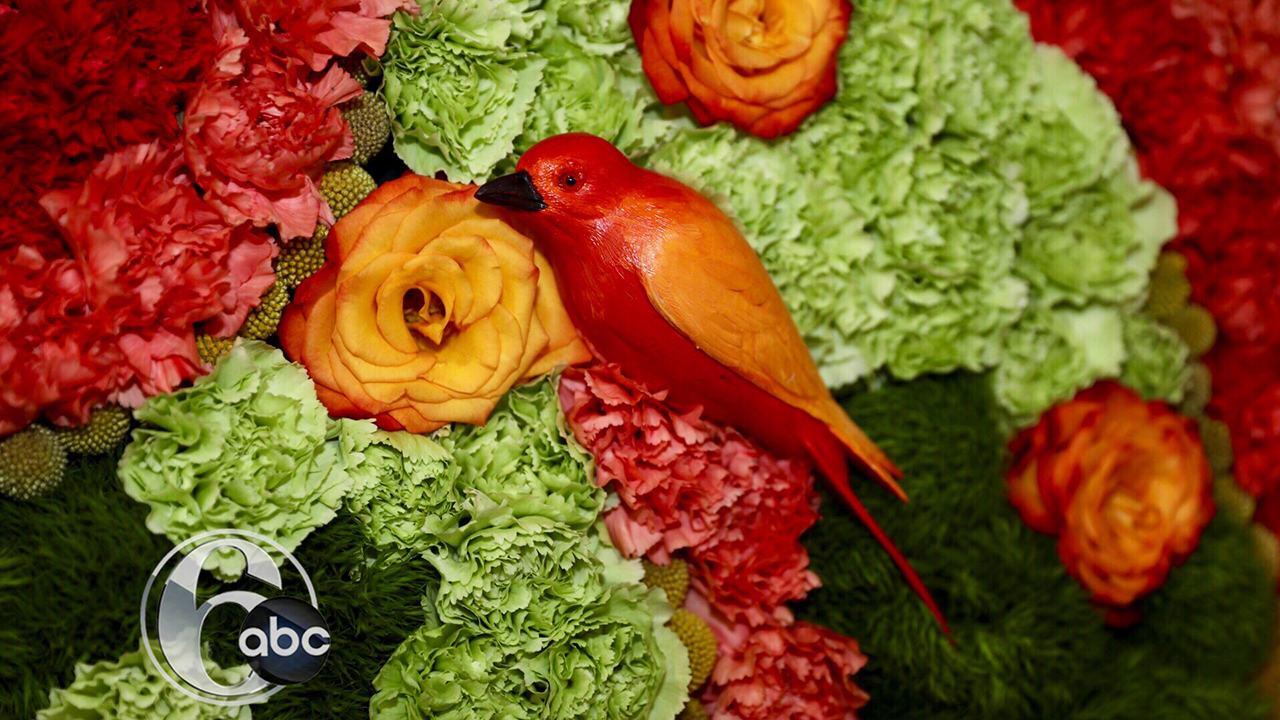 PHOTOS Philadelphia Flower Show