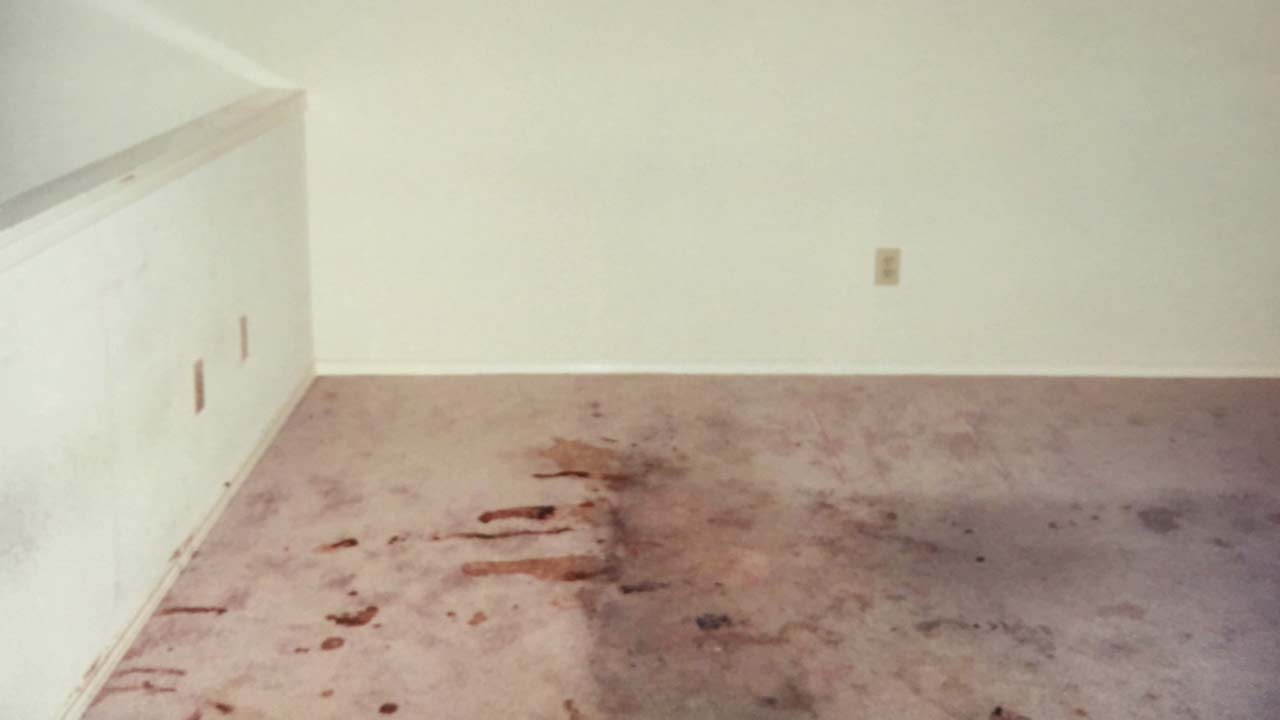 Perris torture case David, Louise Turpin plead guilty to multiple