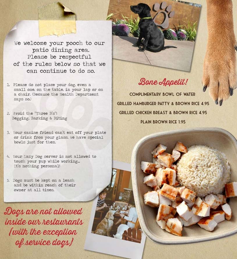 Can You Bring Dogs To Lazy Dog