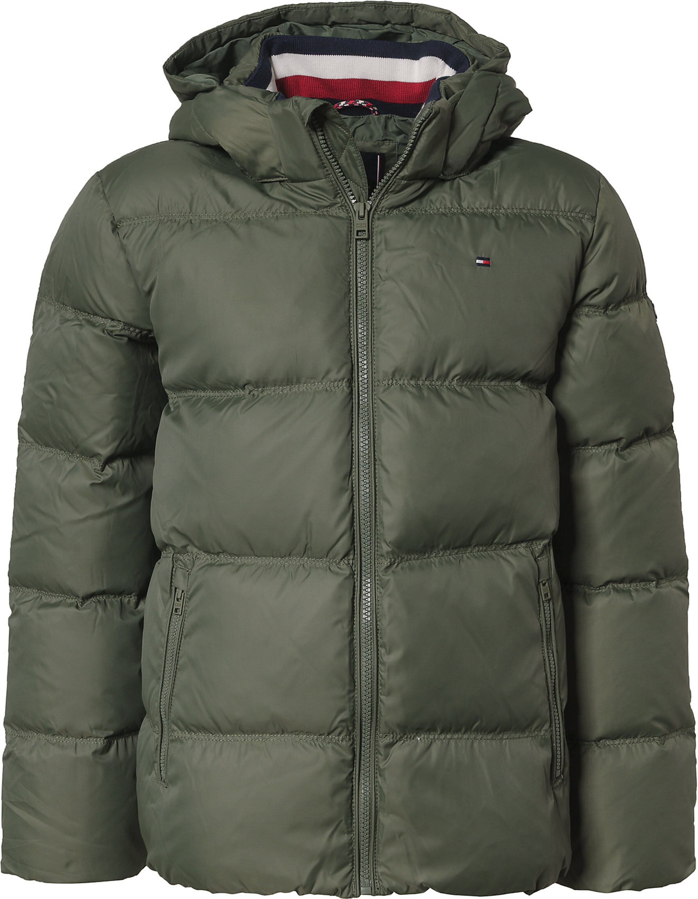 TOMMY HILFIGER Winterjacke in oliv ABOUT YOU