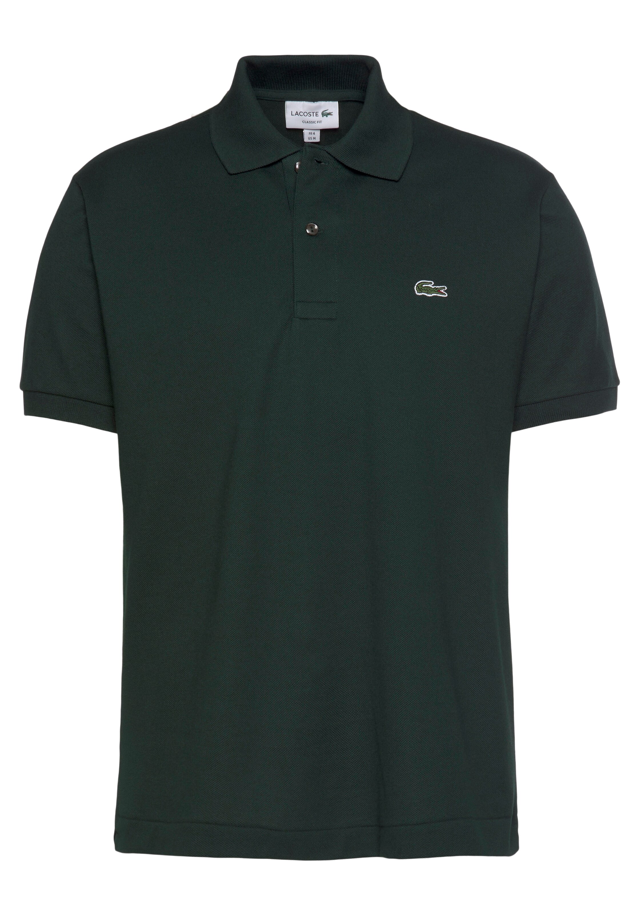 LACOSTE Shirt in tanne / weiß ABOUT YOU