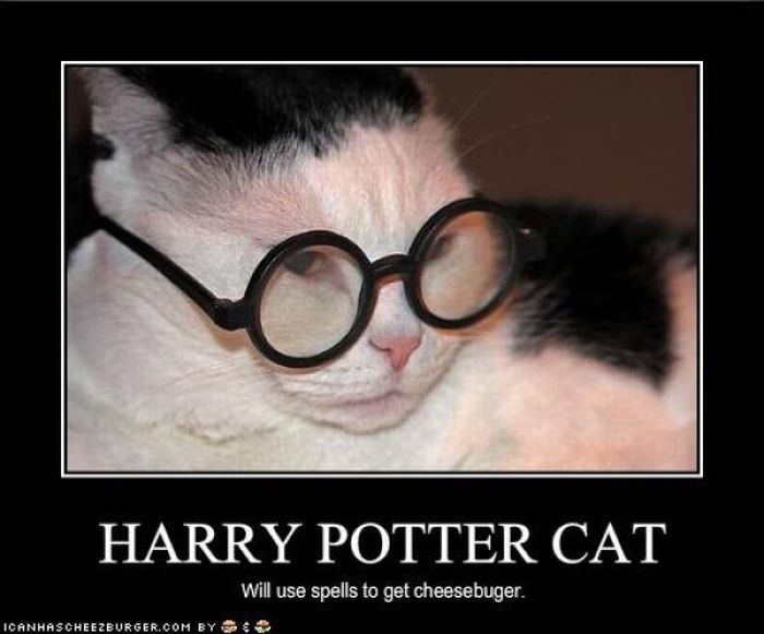 Harry Potter Pets (20 pics)