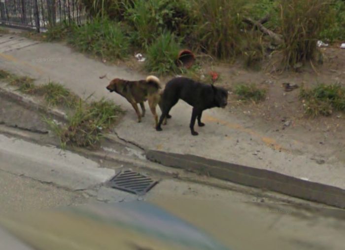 Interesting and Funny Google Street View Images. Part 3 (37 pics)