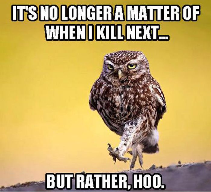 Funny Puns. Part 7 (40 pics)