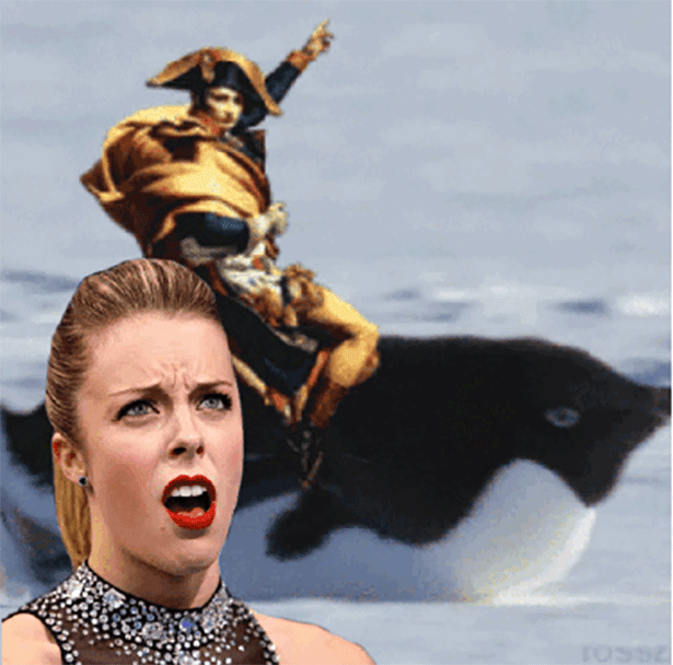 Ashley Wagner Olympic Meme (16 pics)