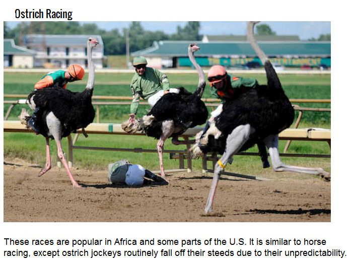 Strange Competitions You Won't Believe Really Exist (22 pics)