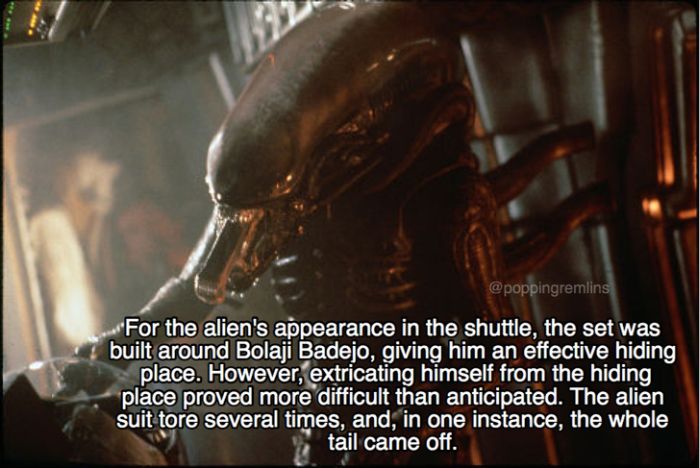 Out Of This World Facts About The Movie Alien (26 pics)