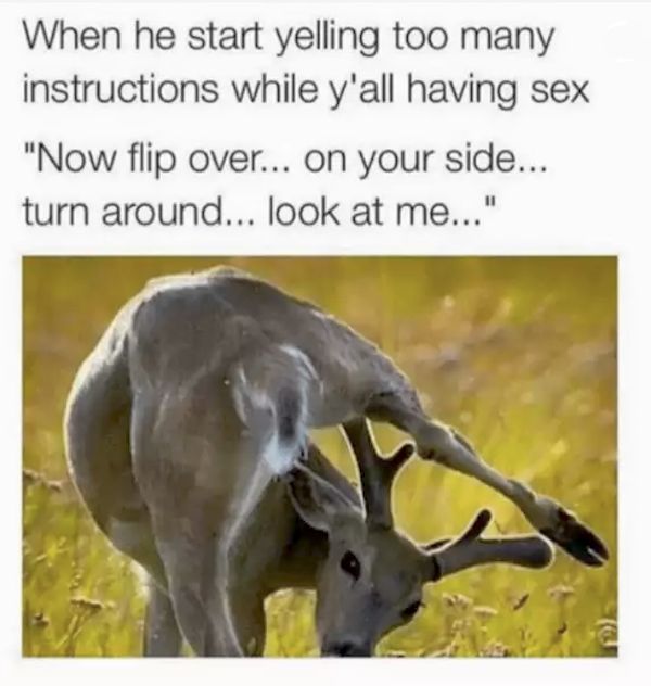 Sex Memes (24 pics)