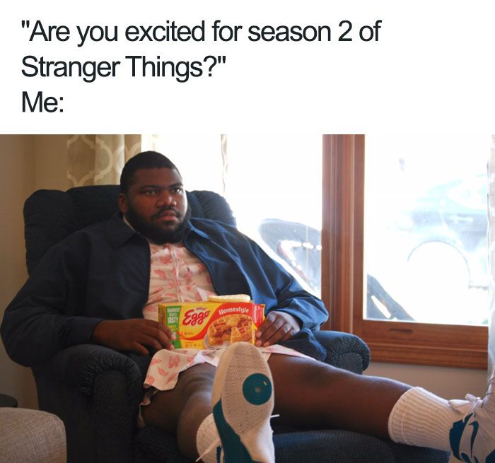 “Stranger Things” Memes (30 pics)