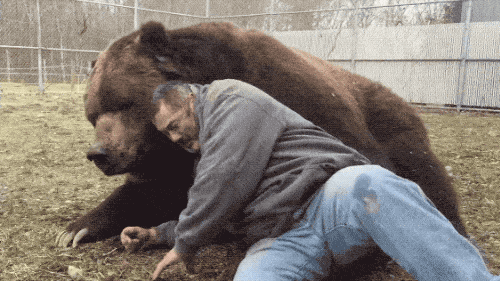 Cuddling Animals (13 gifs)