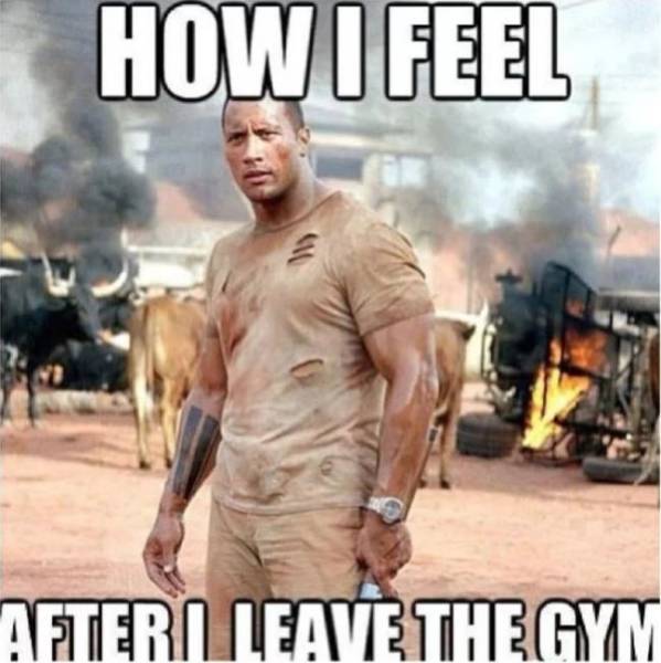 Gym Memes (28 pics)