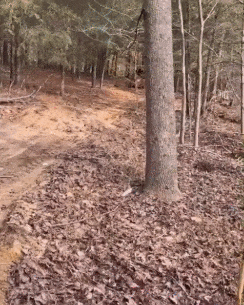 Selection Of Fails (21 gifs)