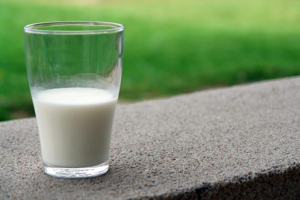 Is Milk Good for You?