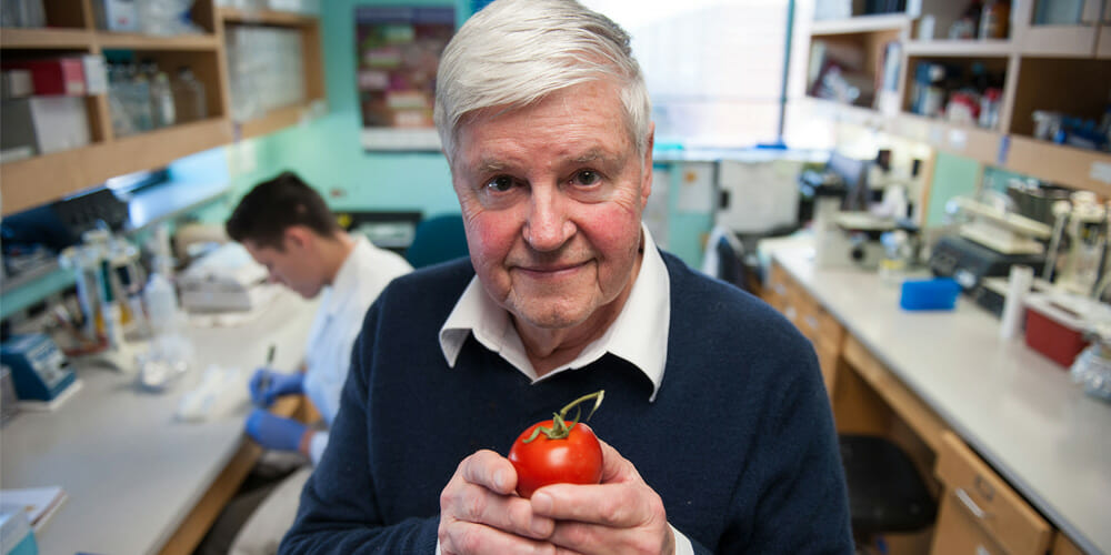 Throwing Tomatoes at Autoimmune Diseases Adventist World