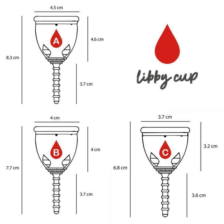 The Perfect Bra For Women With Smaller Busts ABCD Cup Bras