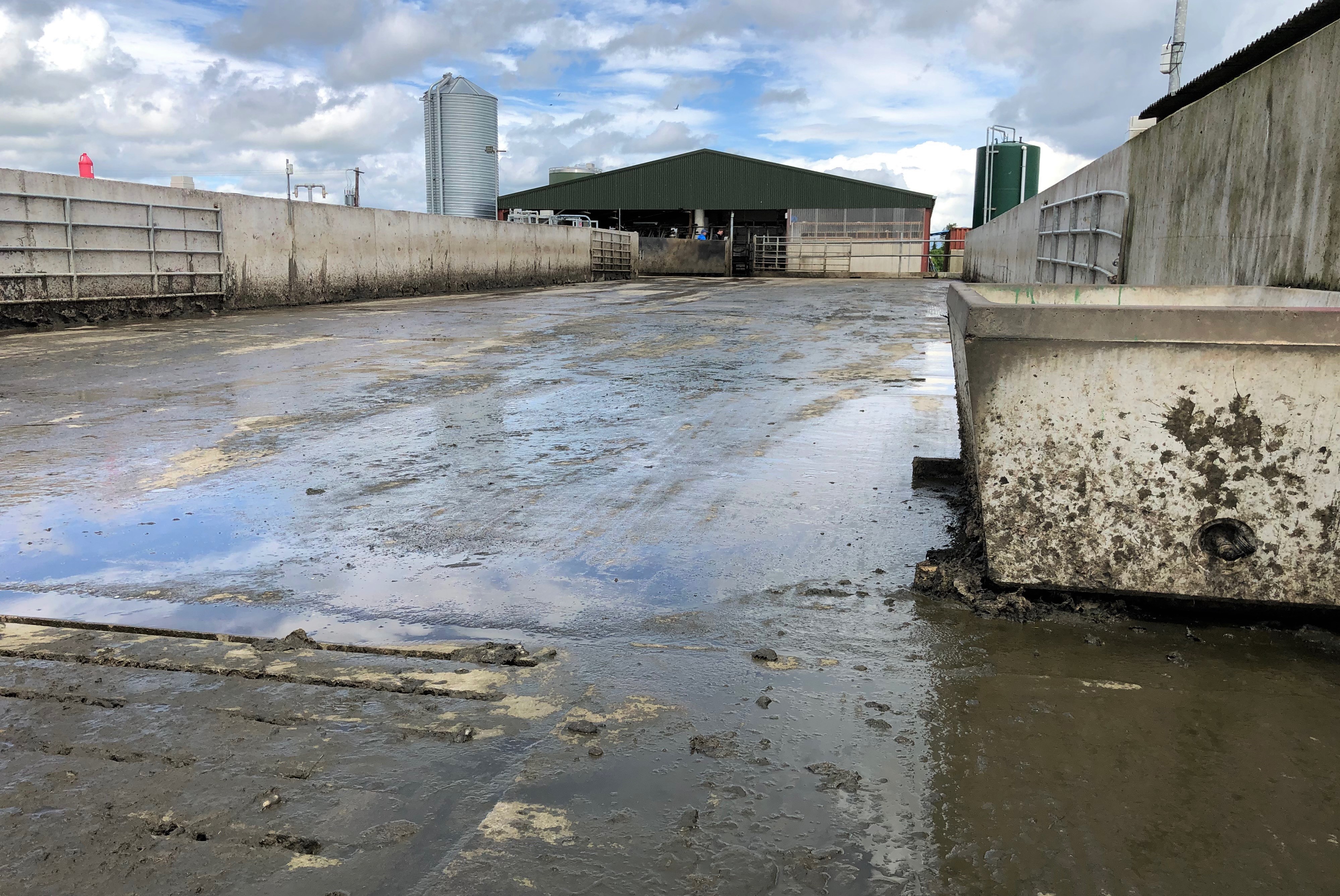 Dairy focus From beef farming in Scotland to dairy farming in Co