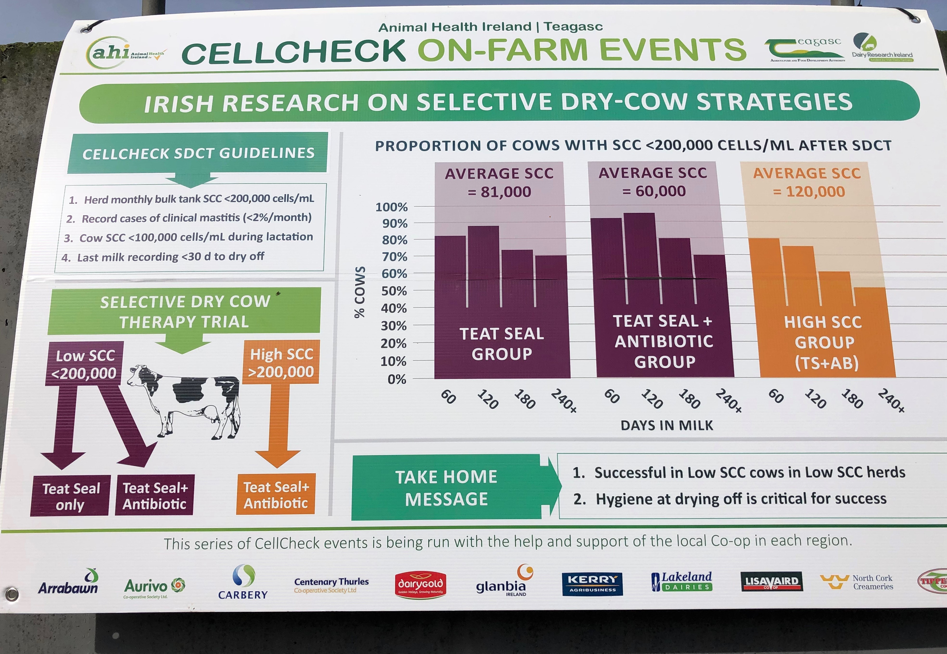 Research shows the effectiveness of selective dry cow therapy