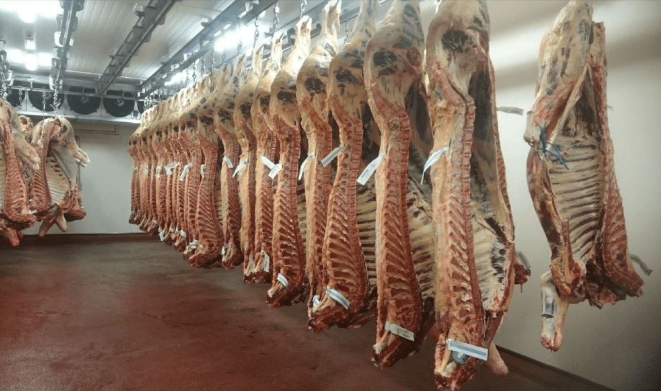 Beef kill Supplies fall again for the second week in a row Agriland.ie