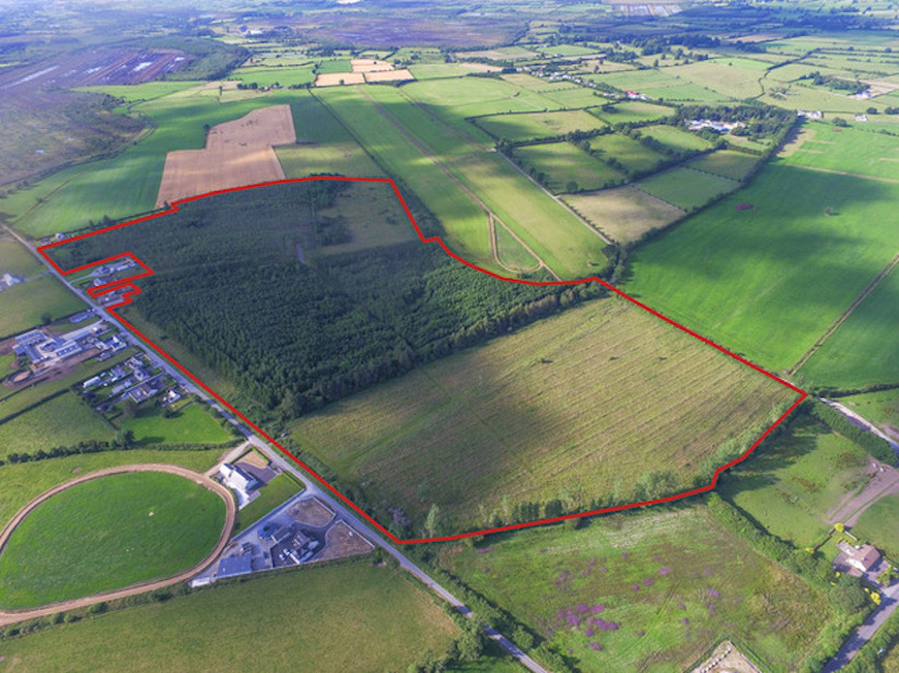 'Attractive' forestry plantation hits the market Agriland.ie