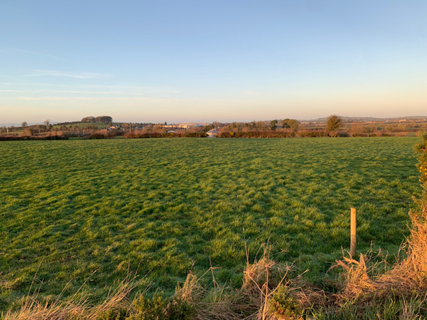 'Exceptional' portion of Golden Vale land for sale Agriland.ie