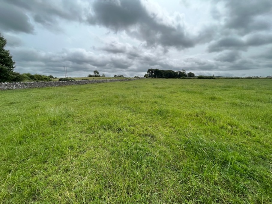 'Highest quality Golden Vale land' guiding at €18k/ac Agriland.ie