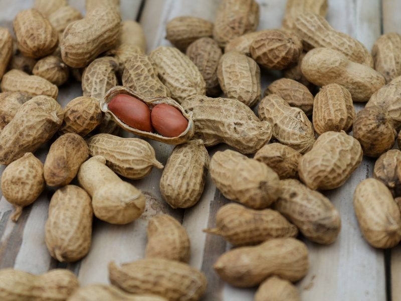 peanut growing Arhive AgronoMag