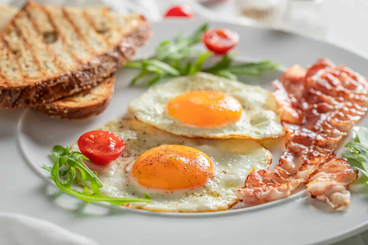 Turkey Eggs All You Need to Know About Them