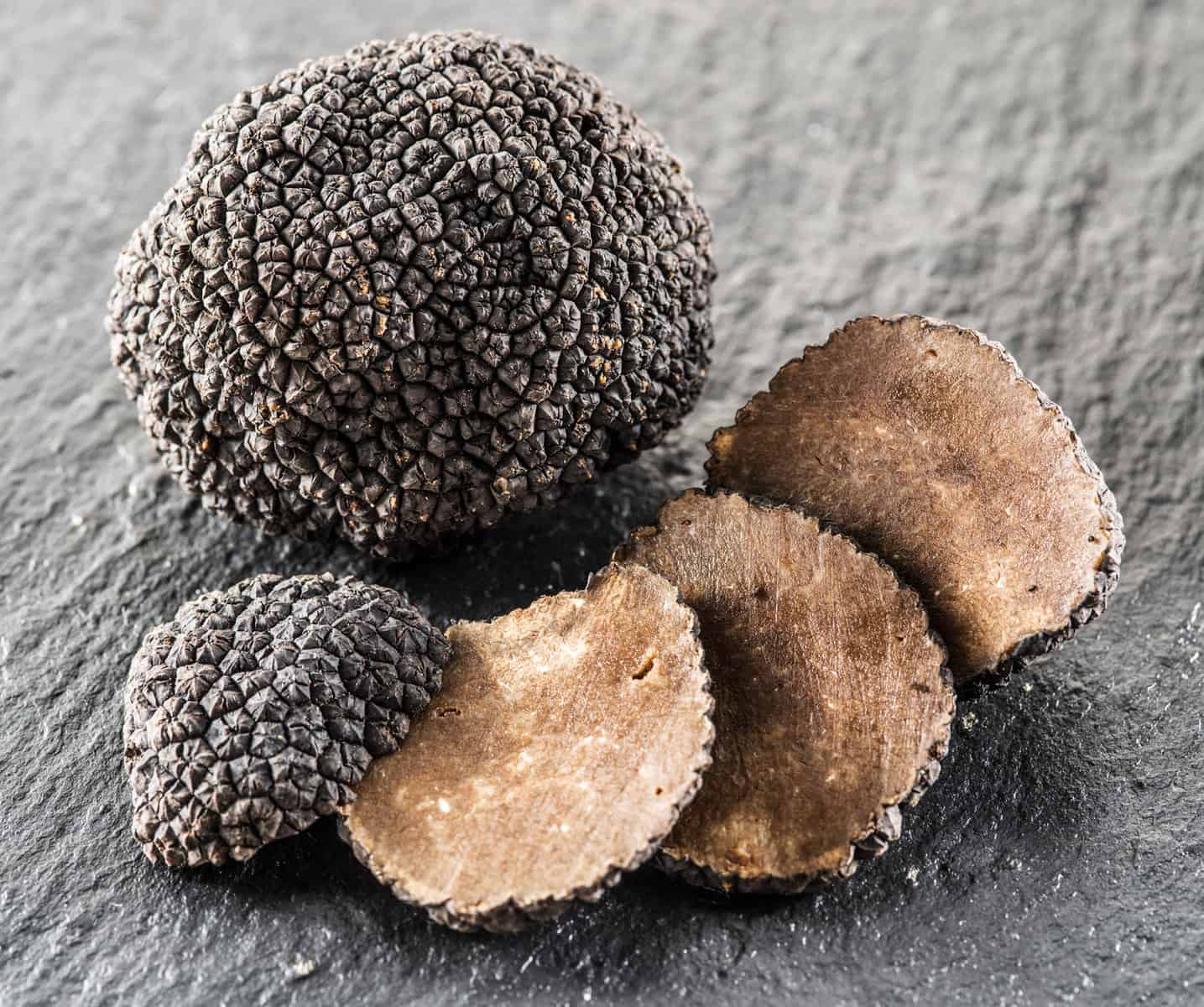 How To Grow Truffles An InDepth Guide for Beginners