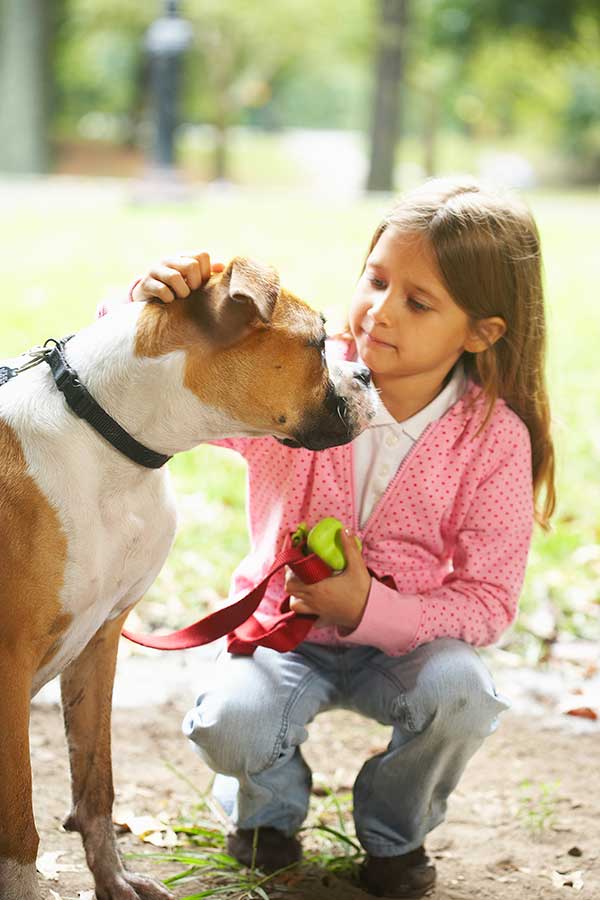 Here's Why Nothing Beats A Boxer As An Ideal Family Dog American