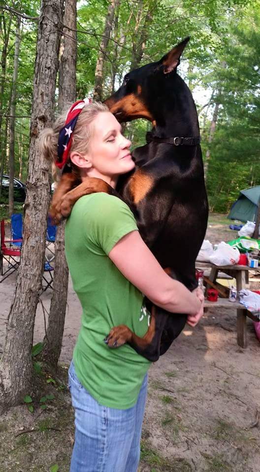 10 Amazing Ways Your Doberman Will Change Your Life Extremely SonderLives
