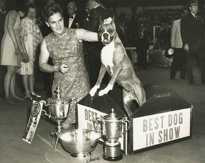 Dog Show Legend Jane Forsyth Dies at 86 American Kennel Club