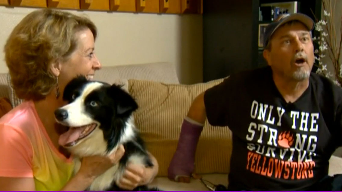 Dog Missing in Yellowstone National Park for 6 Weeks Makes it Home