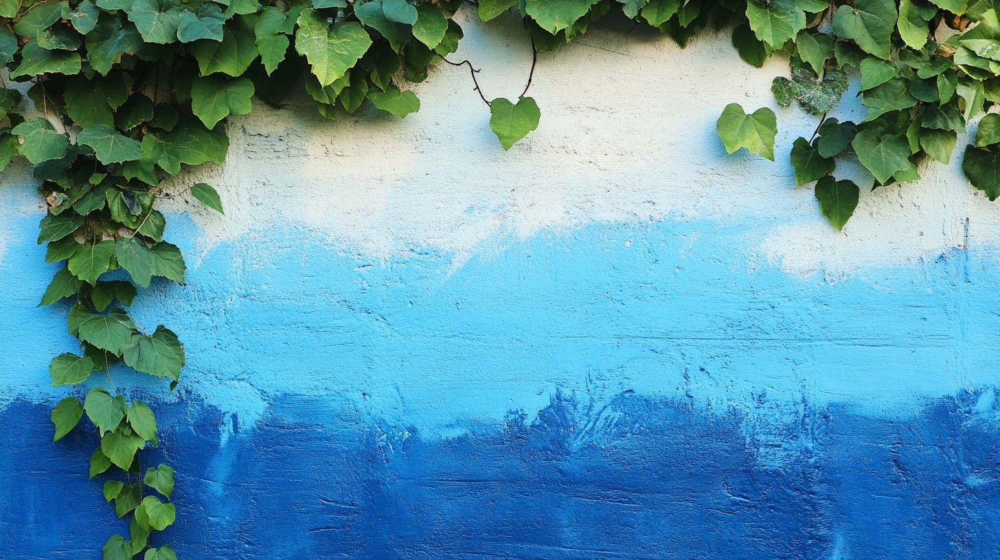 19 Creative Outdoor Wall Painting Ideas AlittleDelightful