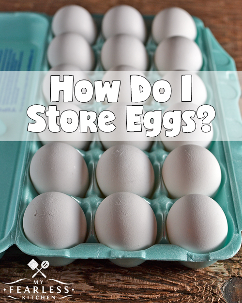 Protecting The Egg The Importance Of The Cuticle