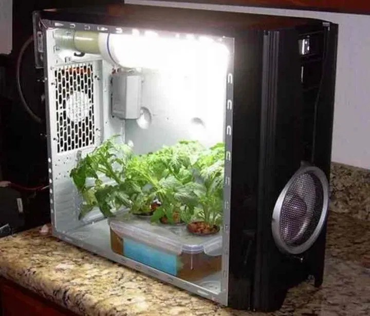 20 DIY Grow Box Ideas For Seedlings All Sands