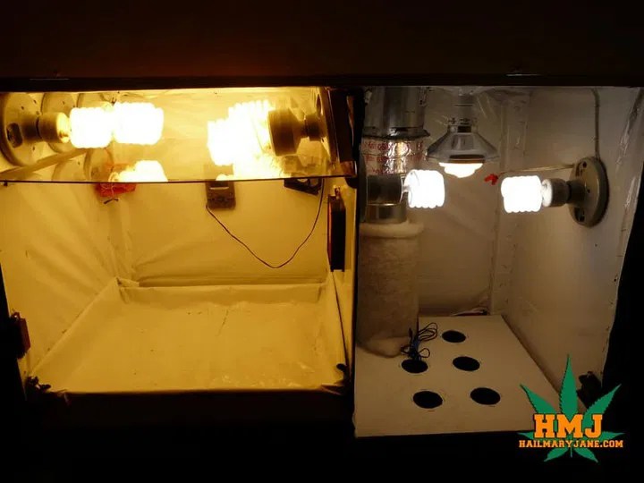 20 DIY Grow Box Ideas For Seedlings All Sands