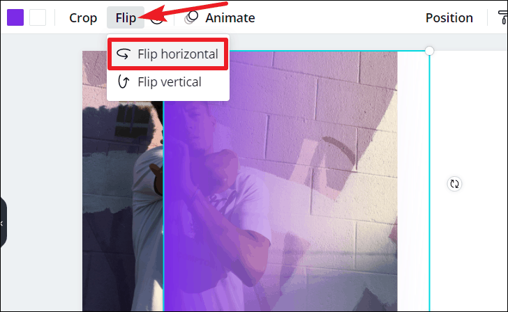 How to Remove Background in Canva All Things How