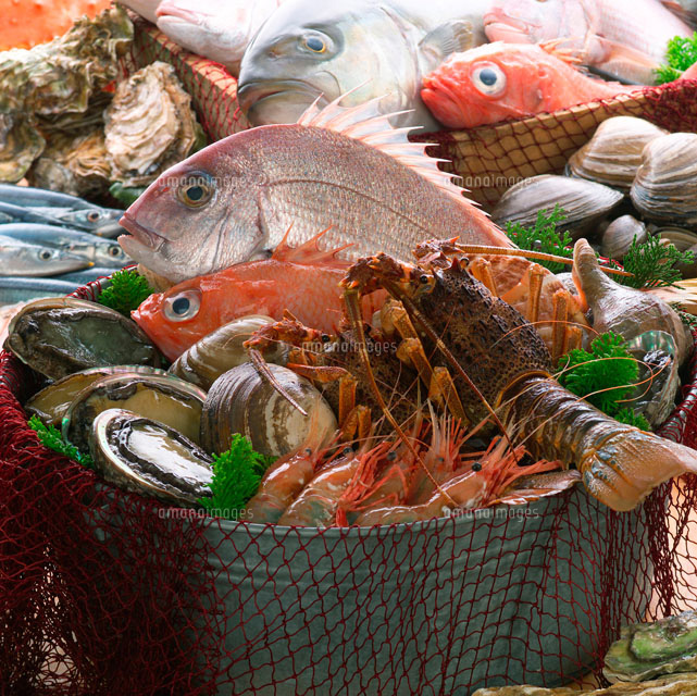 魚介類の集合[11017000914]｜ 写真素材・ストックフォト・画像・イラスト素材｜アマナイメージズ