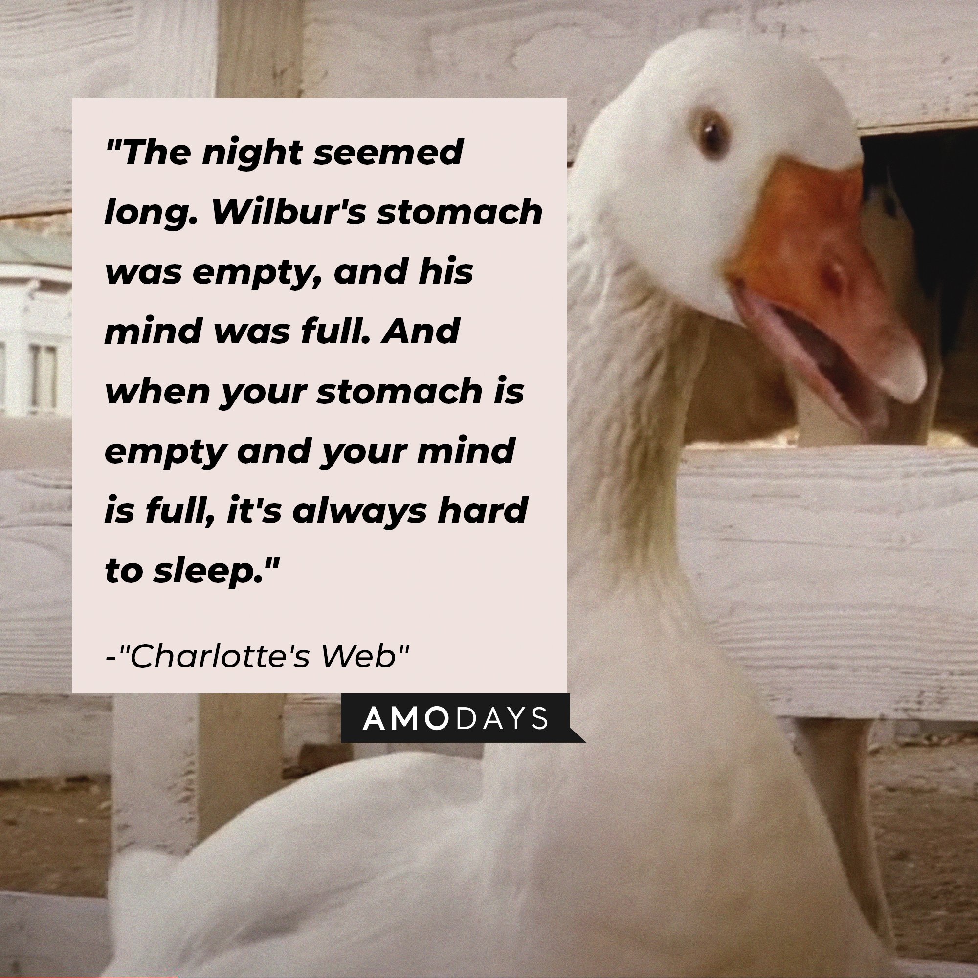 34 Charlotte’s  Quotes from the Story That Never Gets Old