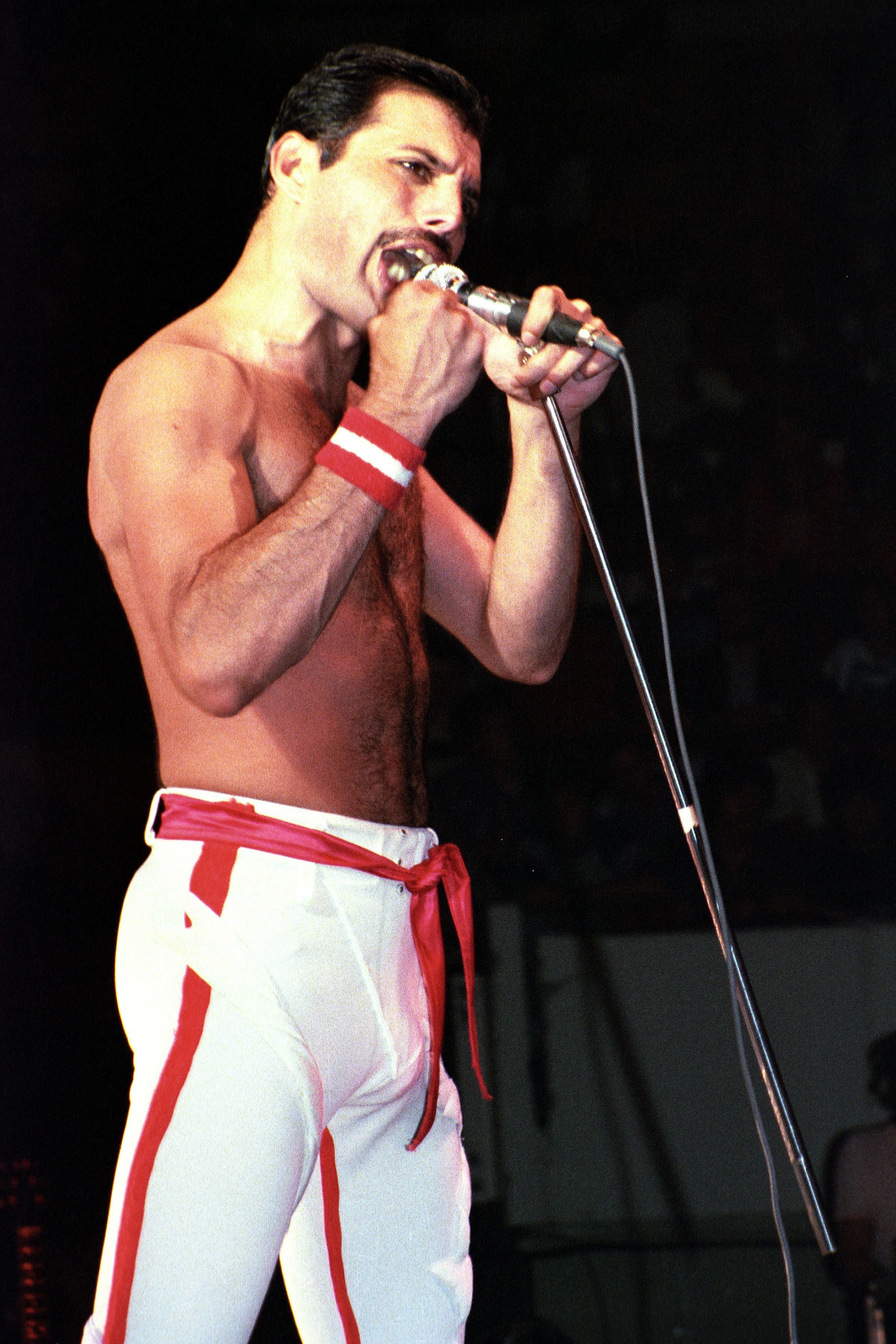 Freddie Mercury Le dernier message qu'il a envoyé 24