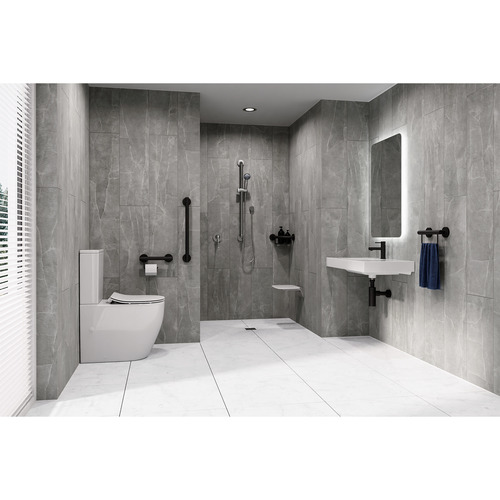Hand Shower on Grab Rail 32mm evekare