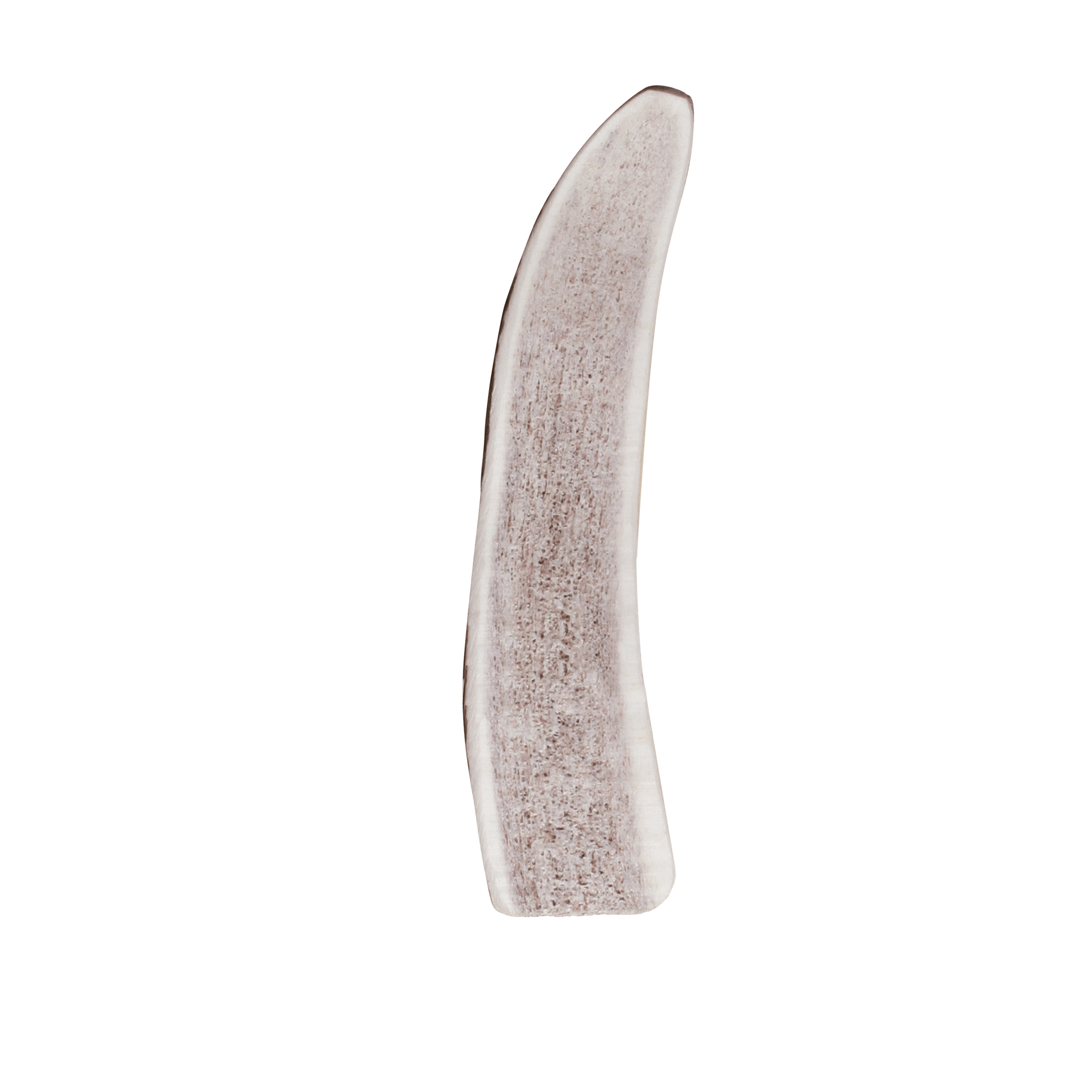 Wild Antler Split KONG Company