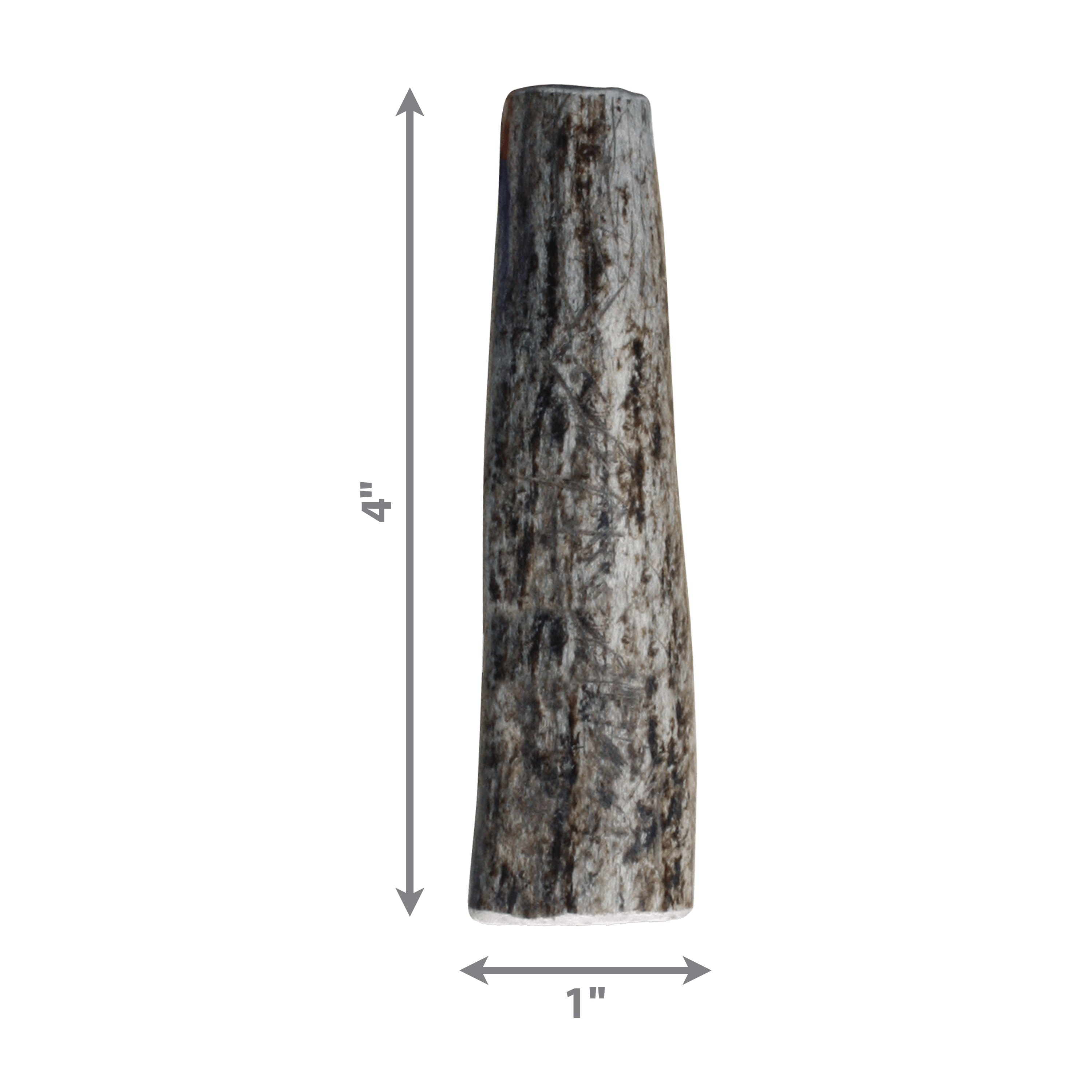 Wild Antler Whole KONG Company