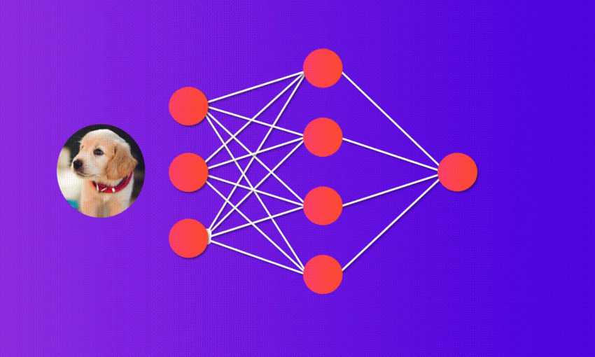 Perbedaan CNN vs. RNN vs. ANN untuk keperluan Deep Learning belajar_IT