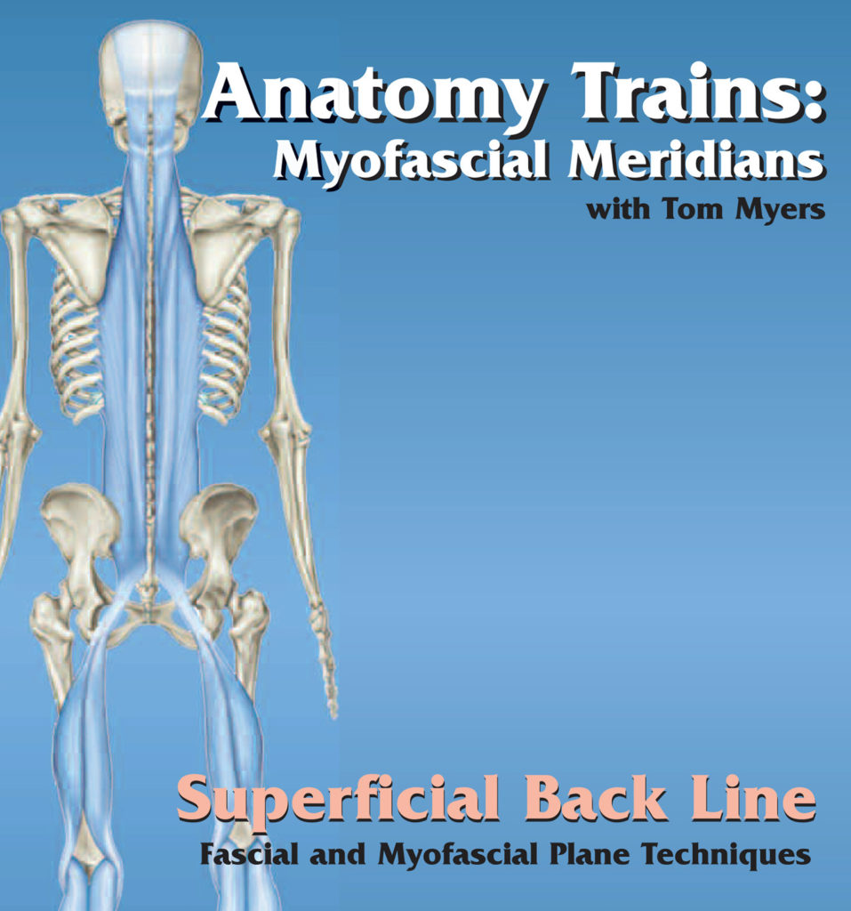 Superficial Back Line Video Fascial and Myofascial Plane