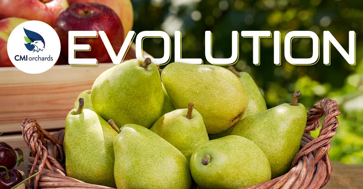 CMI Orchards' Rochelle Bohm and Scott Agnew Discuss Diamond Fruit